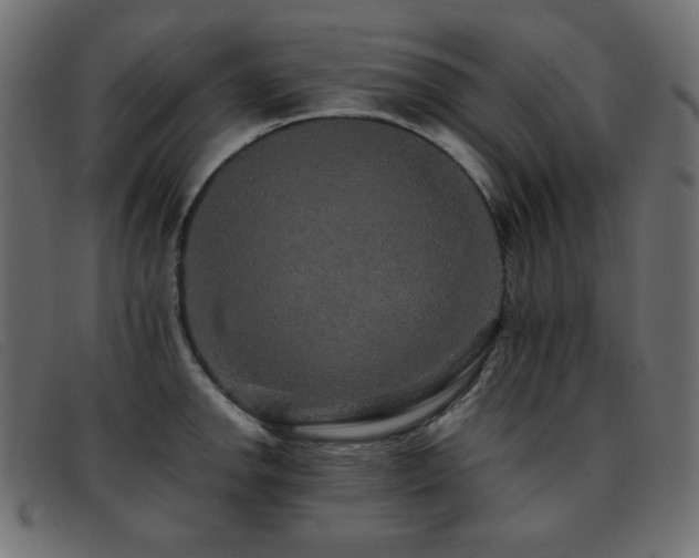 X0000093371142200710111432