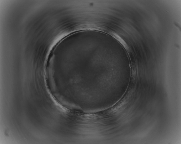 X0000093371144200710111432