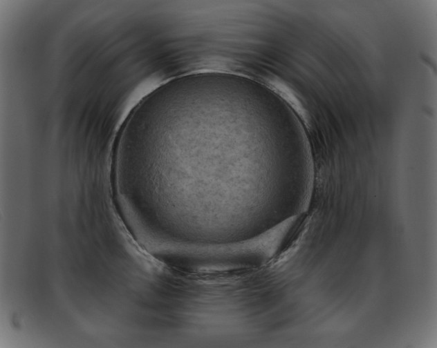 X0000093371146200710111432