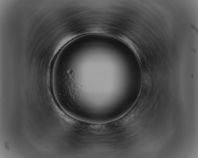 X0000093371147200710111432