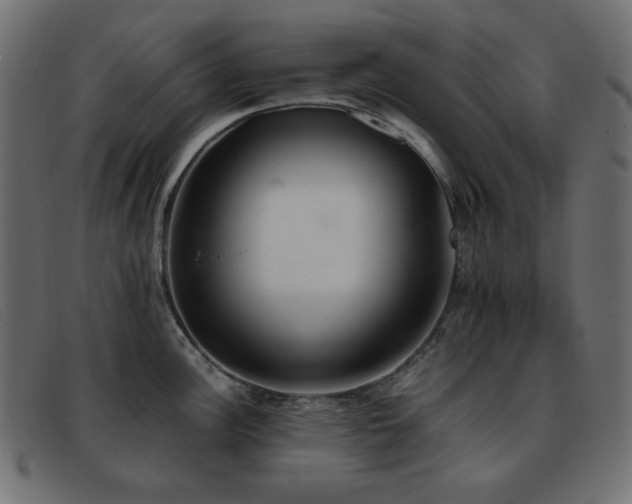 X0000093371148200710111432