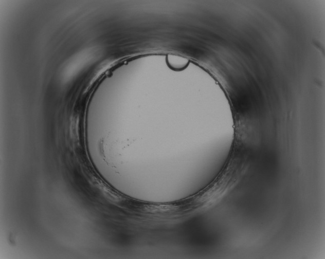 X0000093371150200710111432