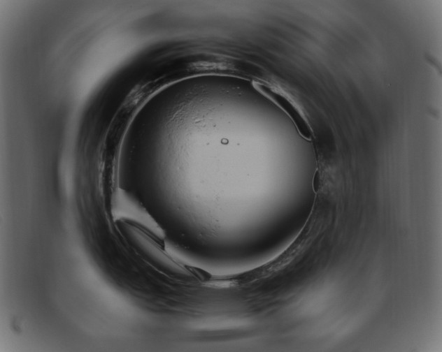 X0000093371151200710111432