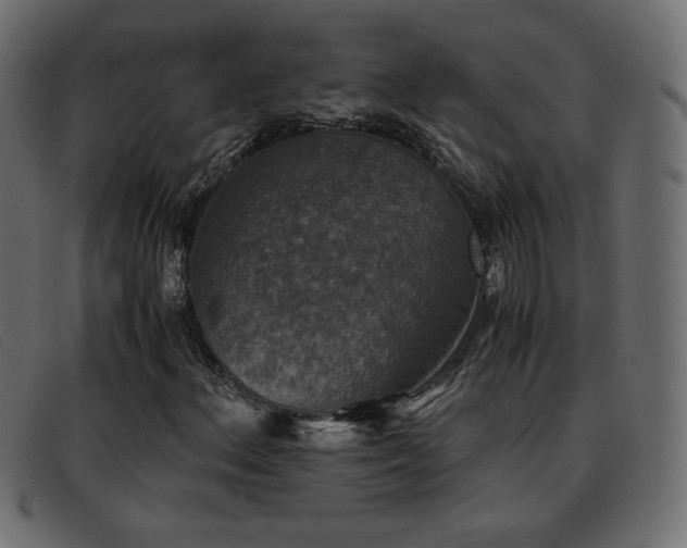 X0000093371156200710111431