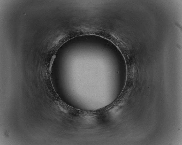 X0000093371157200710111431