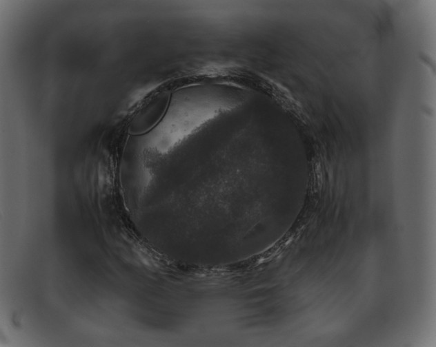 X0000093371158200710111431