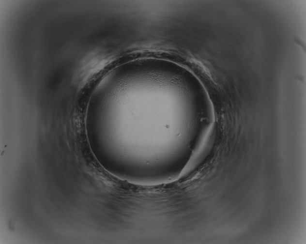 X0000093371159200710111431