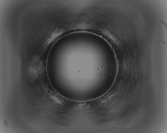 X0000093371160200710111431