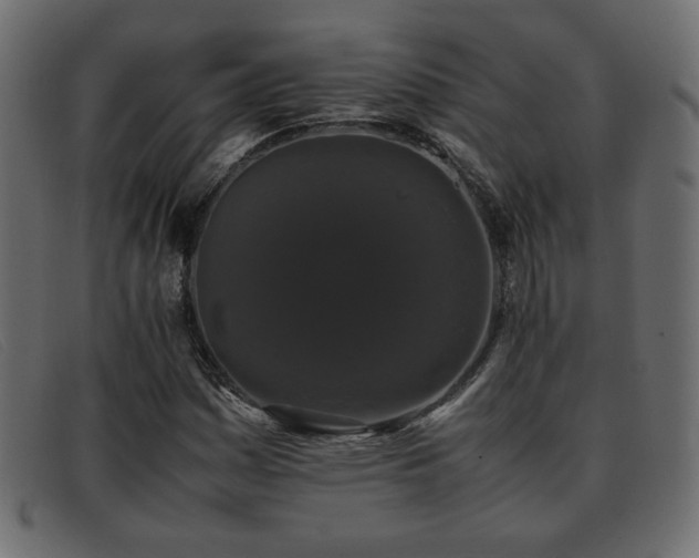 X0000093371161200710111431