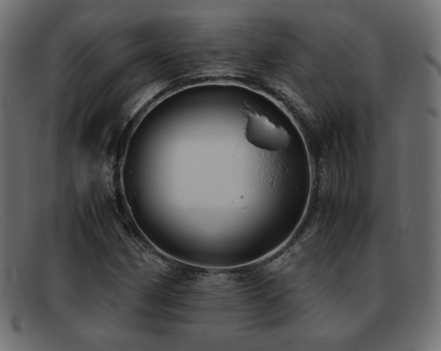 X0000093371162200710111431