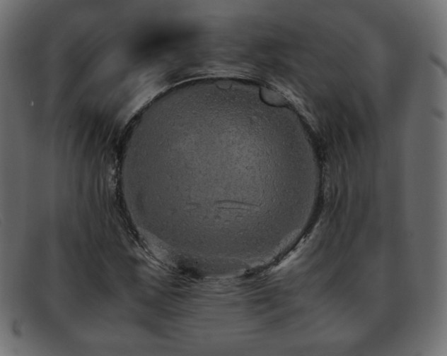 X0000093371163200710111431