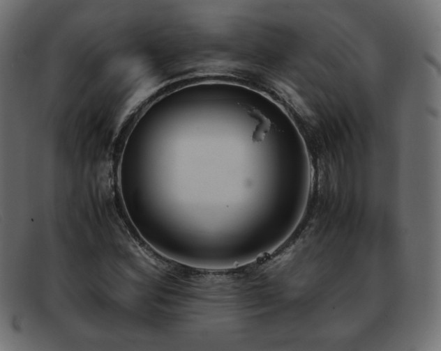 X0000093371164200710111431