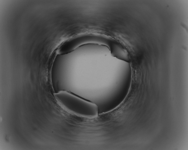 X0000093371165200710111431