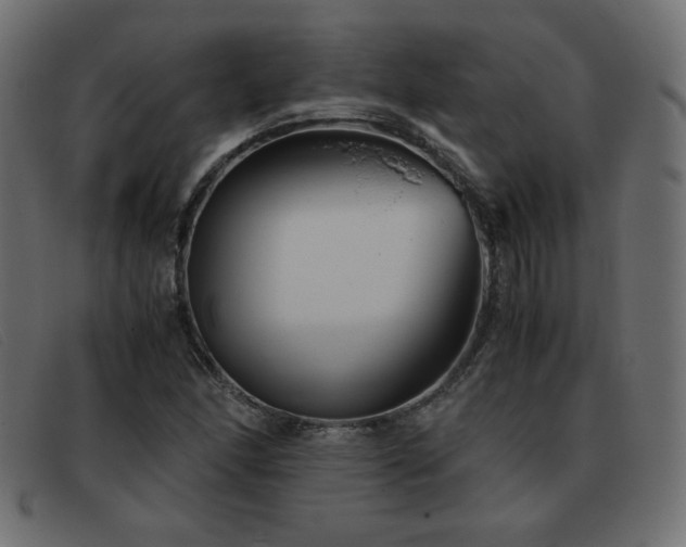 X0000093371166200710111431