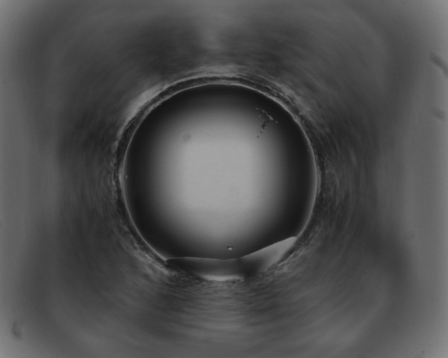 X0000093371168200710111431