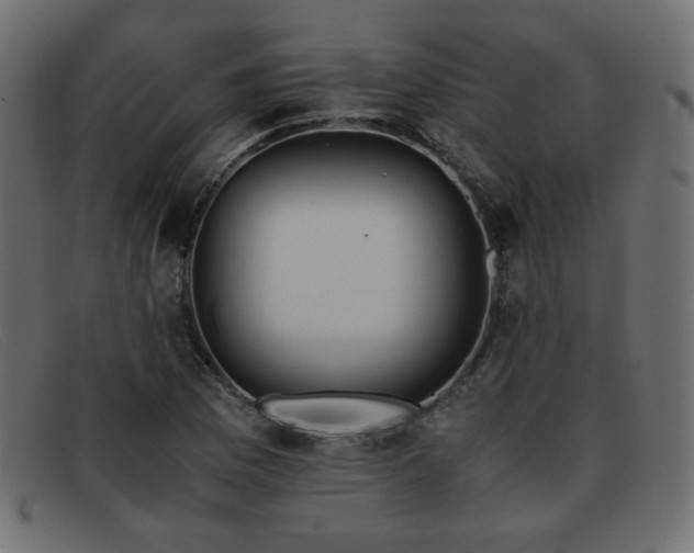 X0000093371169200710111431