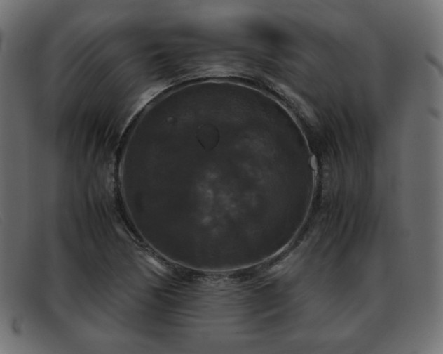 X0000093371170200710111431