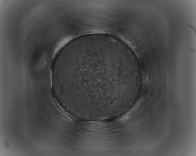 X0000093371171200710111431
