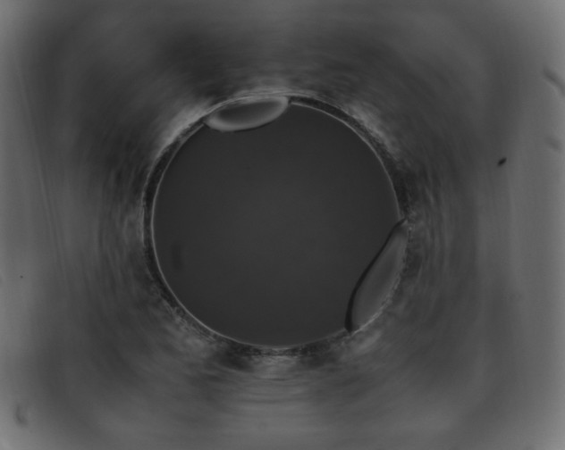 X0000093371173200710111431