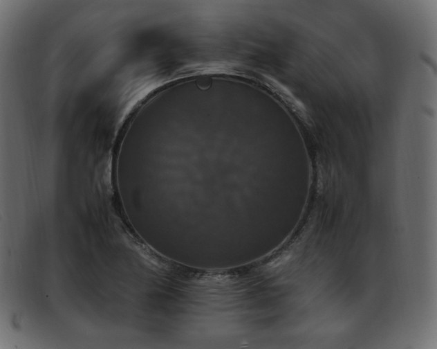 X0000093371174200710111431