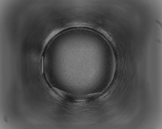 X0000093371175200710111431