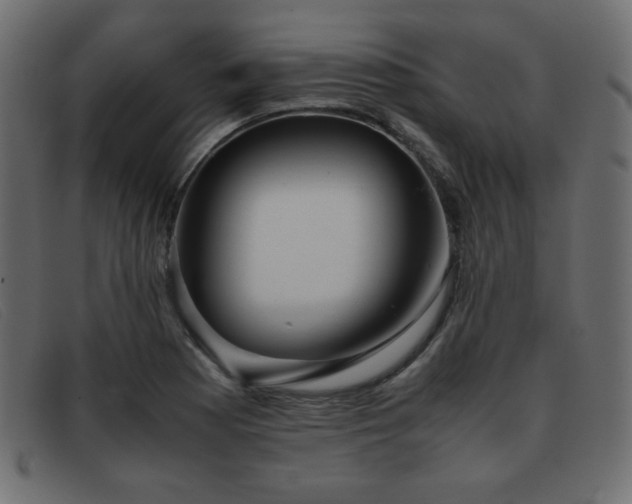 X0000093371177200710111431