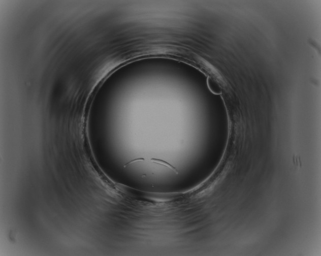 X0000093371178200710111431