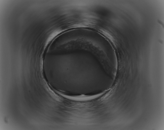 X0000093371179200710111431