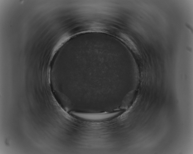 X0000093371180200710111431