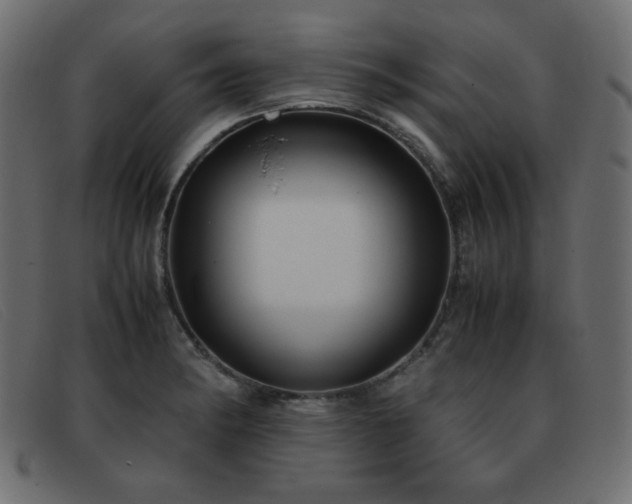 X0000093371182200710111431