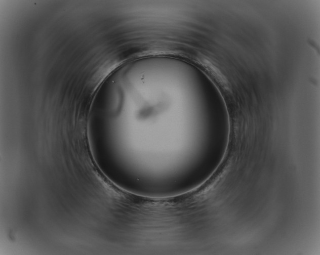 X0000093371185200710111431