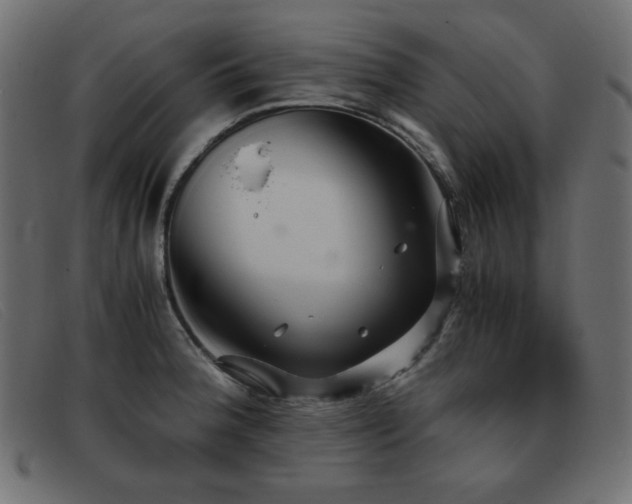 X0000093371188200710111431