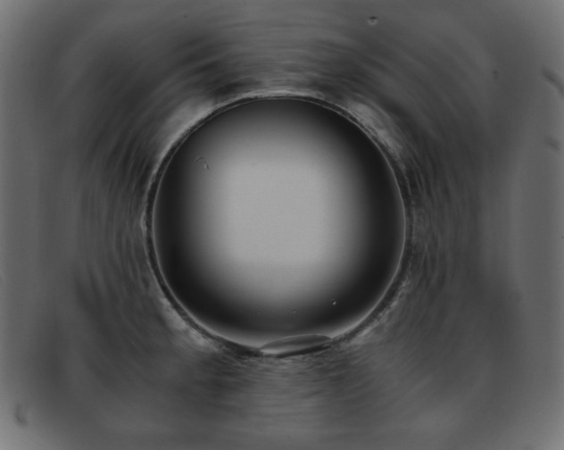 X0000093371189200710111431