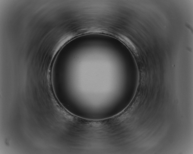 X0000093371190200710111431