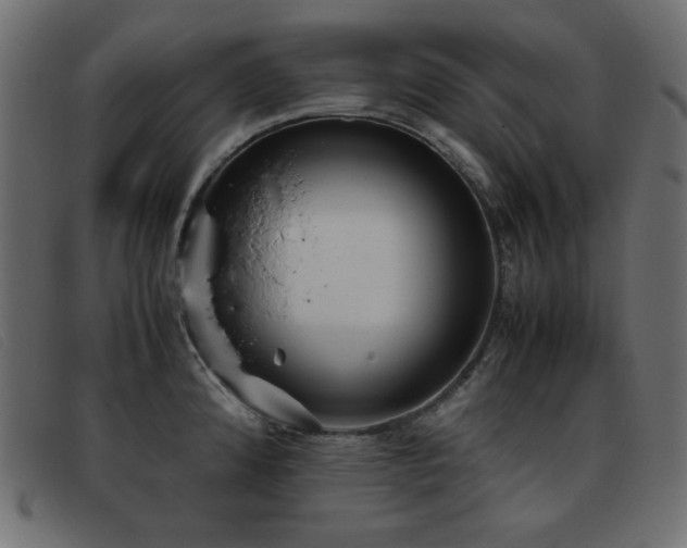 X0000093371192200710111431