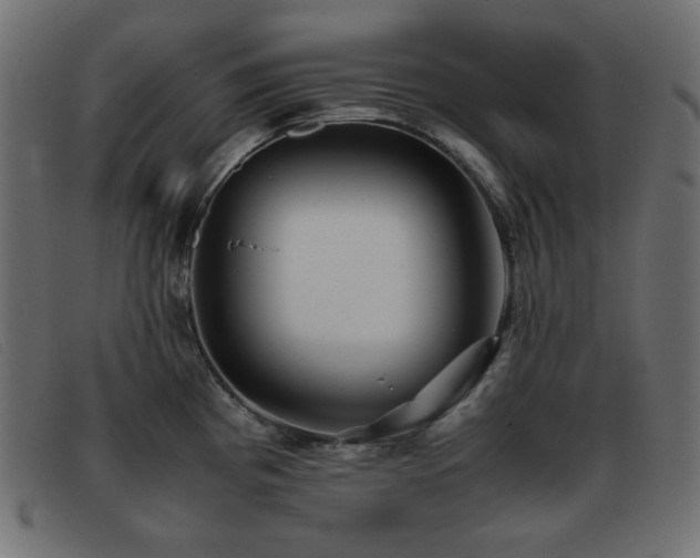 X0000093371193200710111431