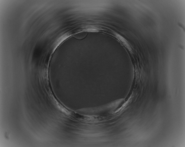 X0000093371194200710111431