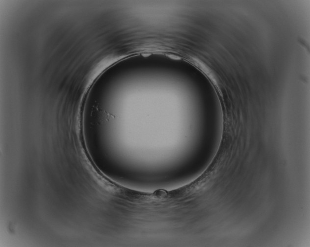 X0000093371195200710111431