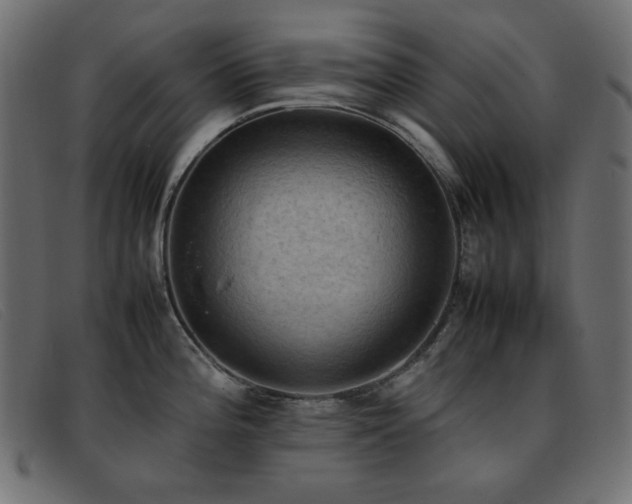 X0000093371196200710111431