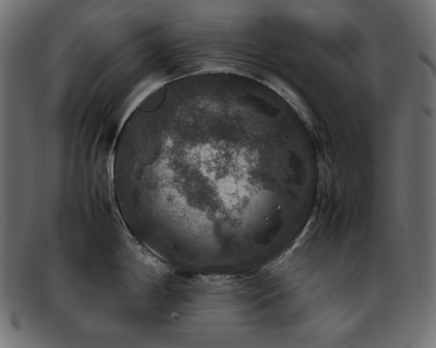 X0000093371198200710111431