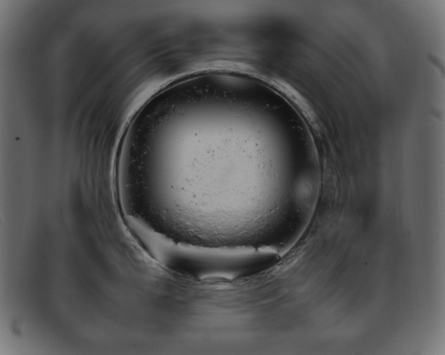 X0000093371199200710111431