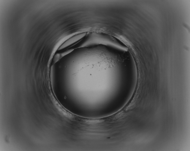 X0000093371200200710111431