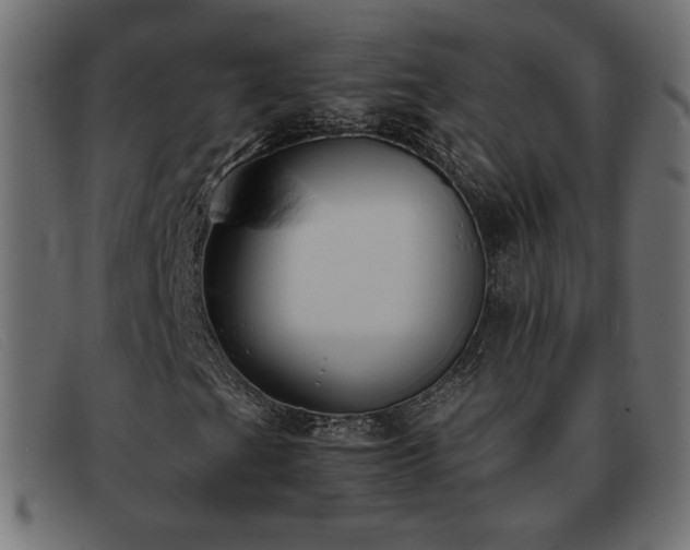 X0000093371201200710111430