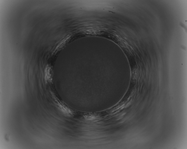 X0000093371202200710111430