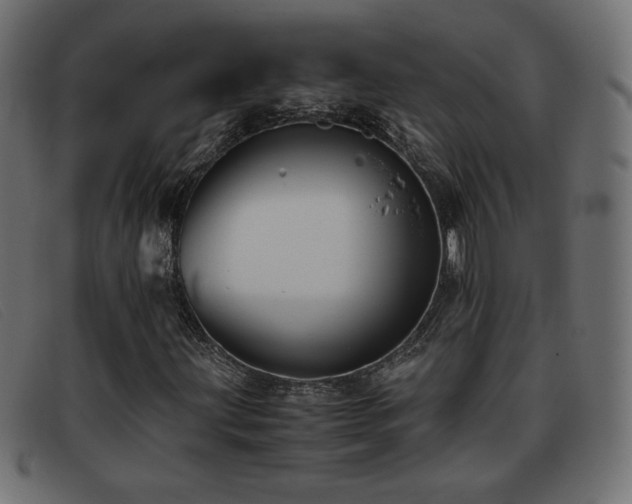 X0000093371203200710111430