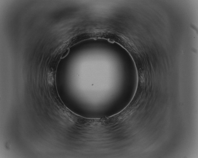 X0000093371204200710111430