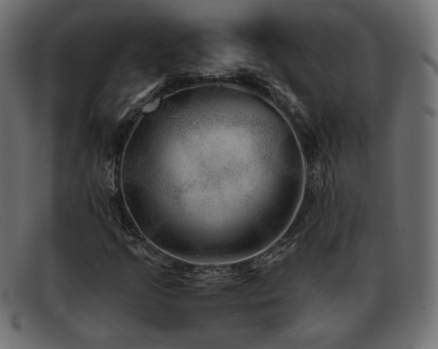 X0000093371205200710111430
