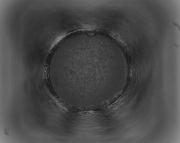 X0000093371208200710111430
