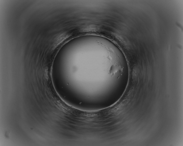 X0000093371209200710111430