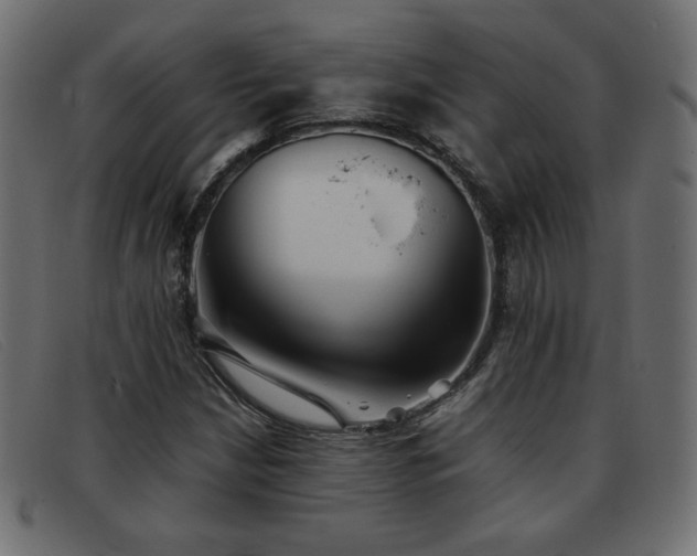 X0000093371210200710111430